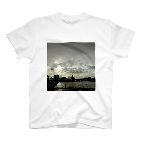スモーキーrain Regular Fit T-Shirt
