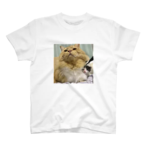 2019年4月1日 Regular Fit T-Shirt