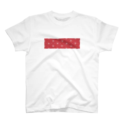 AKABENI Regular Fit T-Shirt