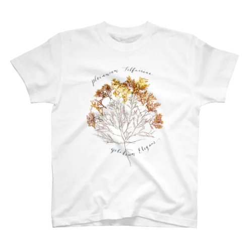 海のおまもり。海藻の森。 Regular Fit T-Shirt