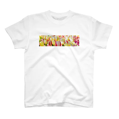 チューリップ Regular Fit T-Shirt