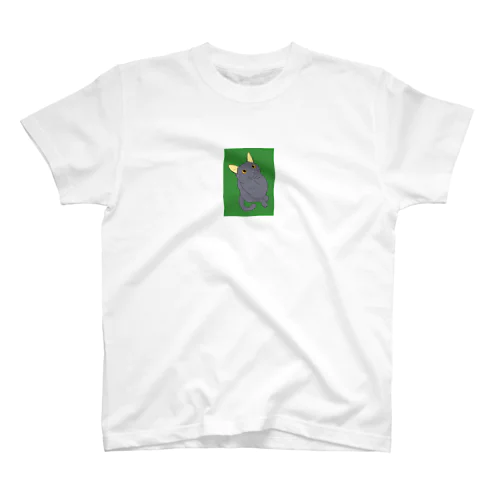平沢進　Tシャツ　Lサイズ Amazon.co.jp: 平沢進ライブグッズ Tシャツ Mサイズ : おもちゃ