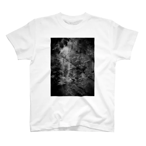 Artwork#1 岩肌-monochrome- Regular Fit T-Shirt
