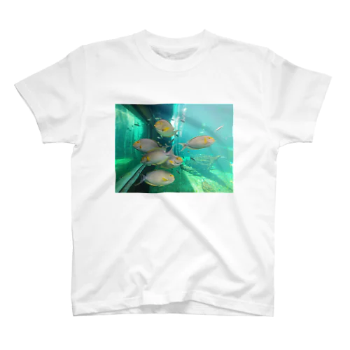 SAKANA Regular Fit T-Shirt