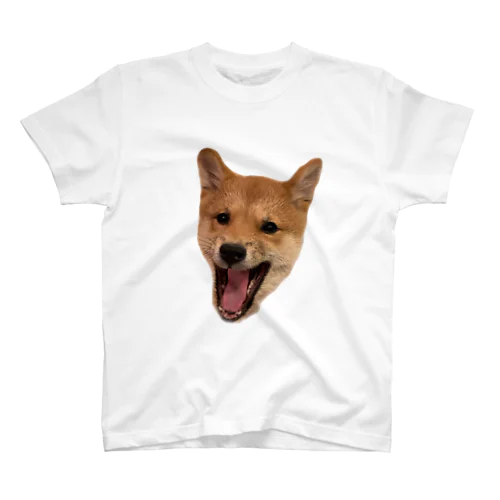 This is Oageなのよ Regular Fit T-Shirt