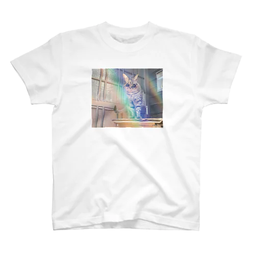 空☆グラサン Regular Fit T-Shirt