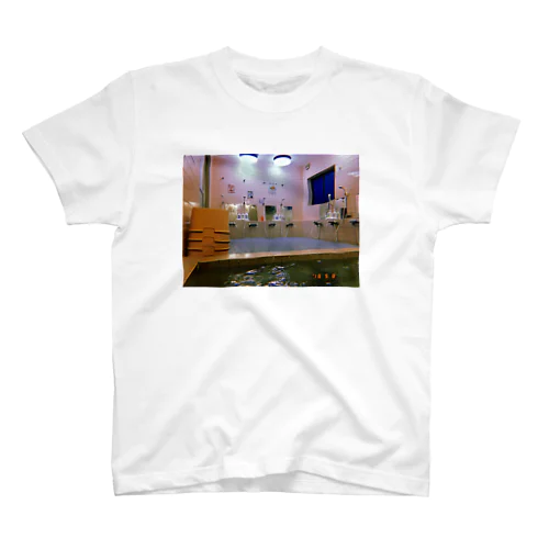 パブリックデカイフロ Regular Fit T-Shirt