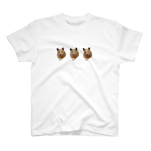 はむすたーさんさん Regular Fit T-Shirt