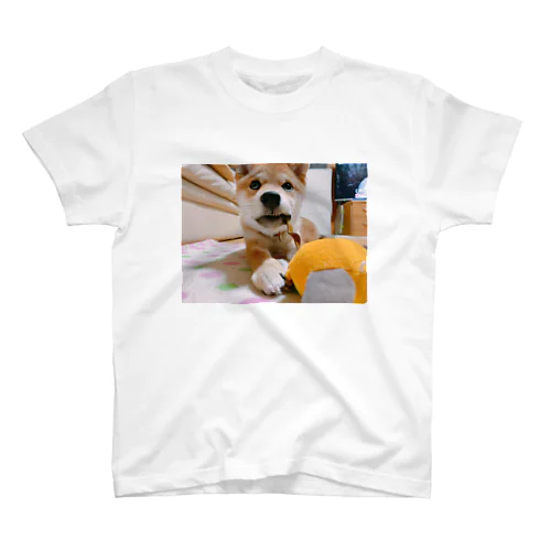 しちみ（柴犬 Regular Fit T-Shirt