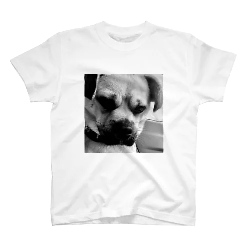 病院に連れて行かれる時のシンプル Regular Fit T-Shirt