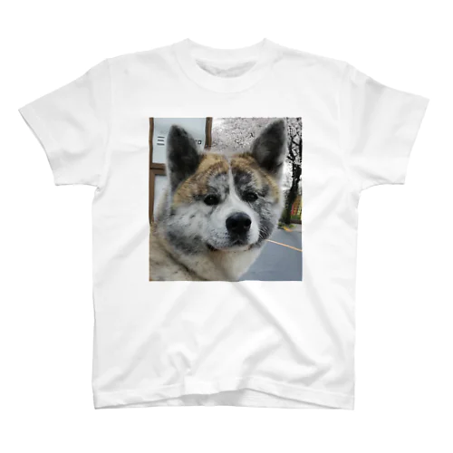 蓬ちゃん Regular Fit T-Shirt