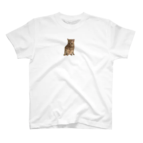 みりん8 Regular Fit T-Shirt