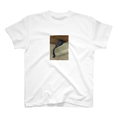 ハクビシンくん Regular Fit T-Shirt
