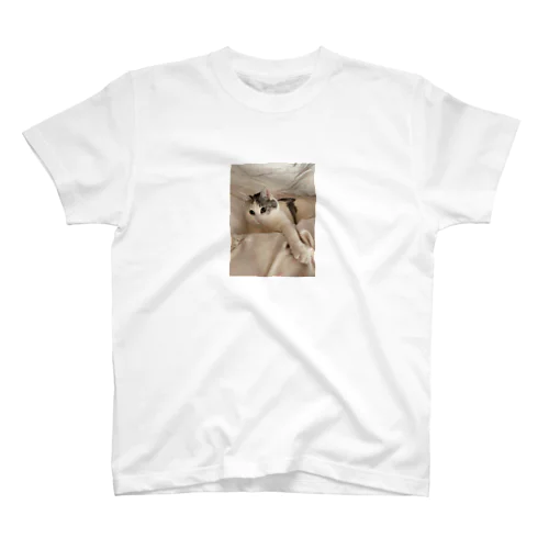 靴下で遊んでる時のネコ Regular Fit T-Shirt