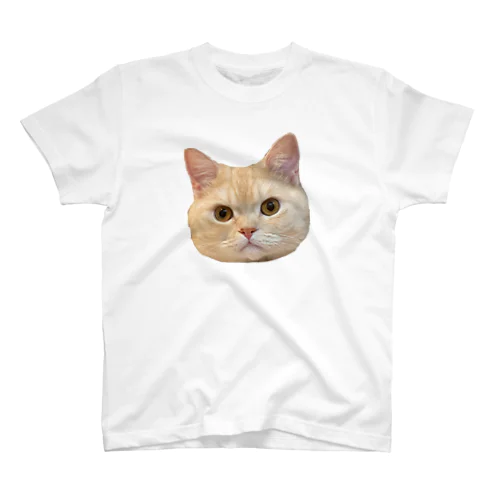 マロンビッグフェイス Regular Fit T-Shirt