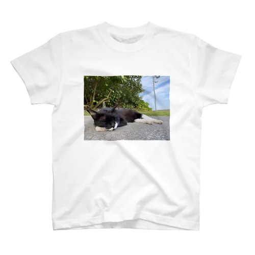 ねこねんね Regular Fit T-Shirt