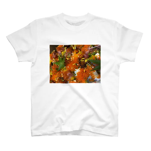 tobiko Regular Fit T-Shirt