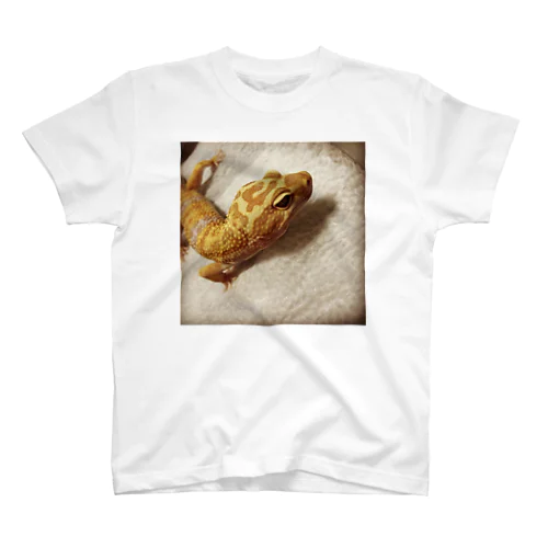 オレん家のレオパードゲッコー〜トレンパーアルビノ〜 Regular Fit T-Shirt