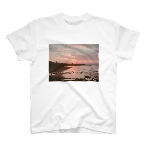 aoshima Regular Fit T-Shirt