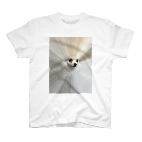 全集中ポメラニアン Regular Fit T-Shirt