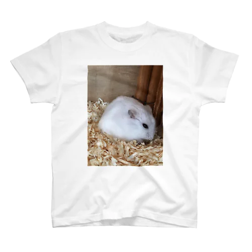 どう見てもウリムーなハムスター Regular Fit T-Shirt