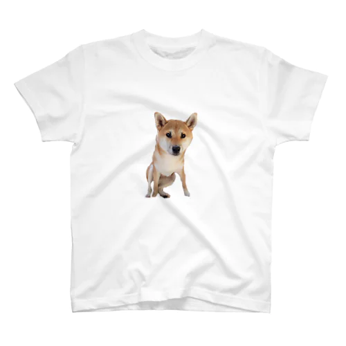 前屈みな柴犬 Regular Fit T-Shirt