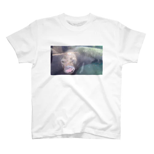 この顔に１分耐えろ Regular Fit T-Shirt
