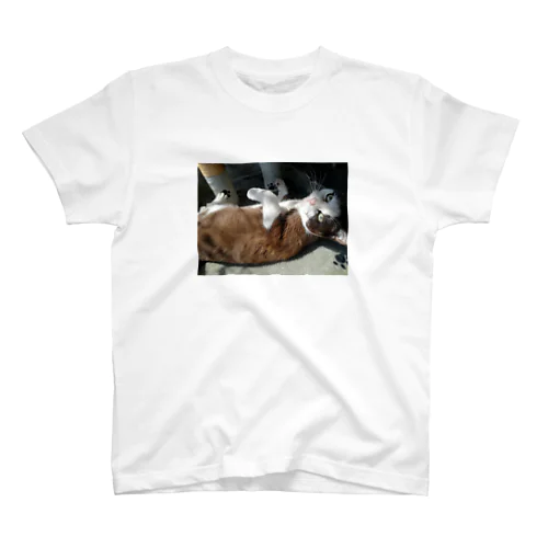 チョコとーと Regular Fit T-Shirt