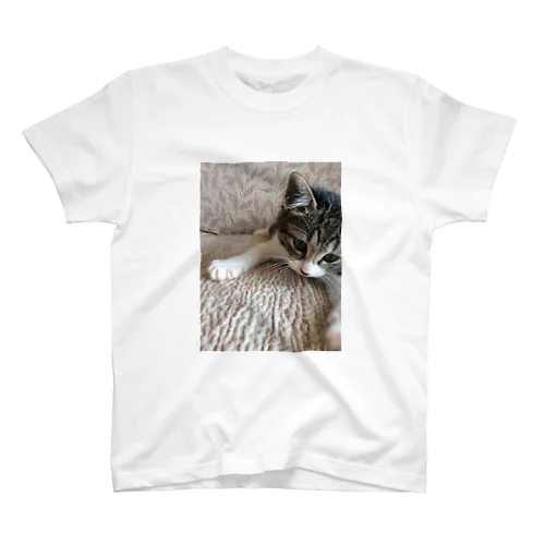 こねこのパル～南の島のにゃんこ～ Regular Fit T-Shirt