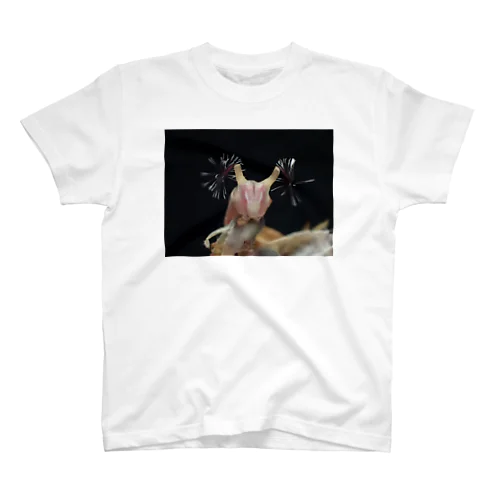 線香花火 Regular Fit T-Shirt