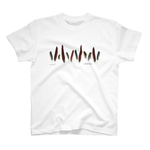 ホオミドリウロコインコさんの羽 Regular Fit T-Shirt