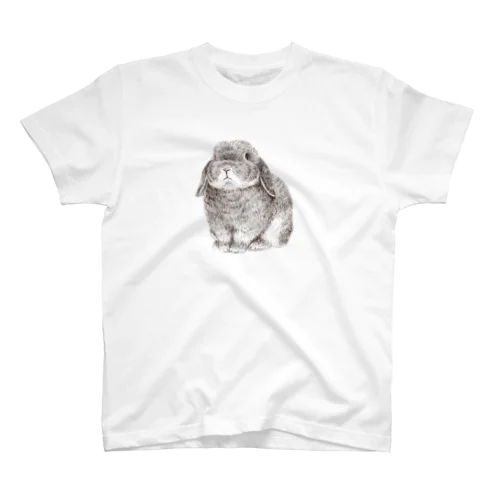 ホーランドロップ Regular Fit T-Shirt