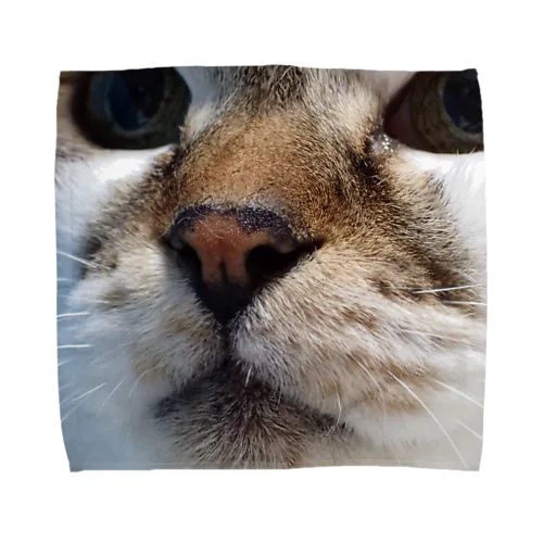 ニャジラ① Towel Handkerchief
