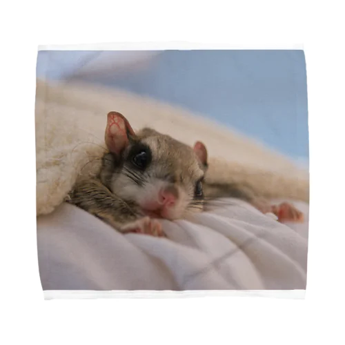 アメリカモモンガのカノン Towel Handkerchief