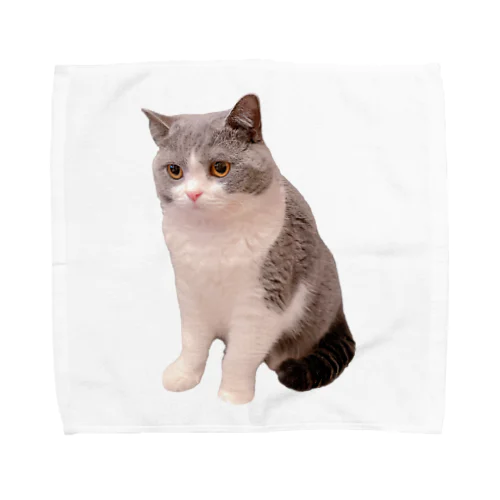 ブリティッシュのレオン Towel Handkerchief