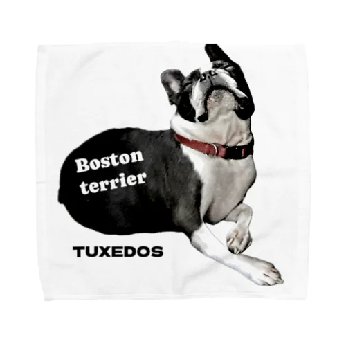 ボストンテリア TUXEDOS Towel Handkerchief