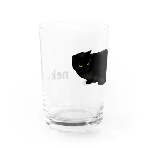 大きめ黒猫ちゃん ロゴ入り Water Glass