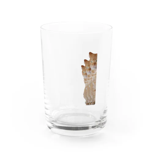 ねこはみた。とりぷるず Water Glass