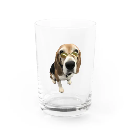 So kakkoii コタロー Water Glass