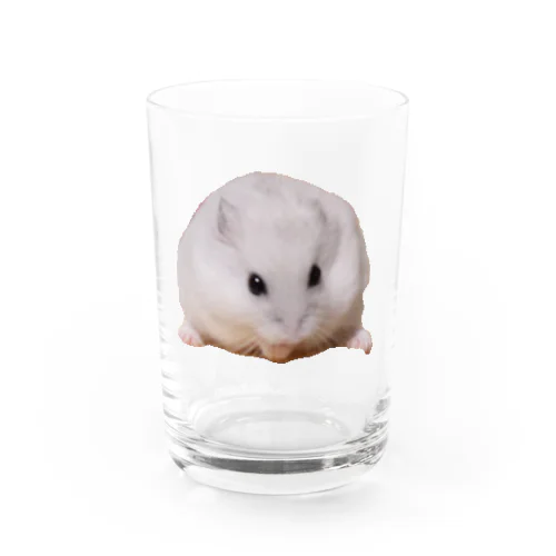 うちのこハムスター Water Glass
