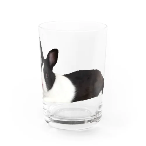 ごろりんちょポコちゃん#うさぎ#ハチワレ#ダッチ#ロング Water Glass