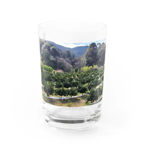 ポツンと一犬や　夏・みかん畑 Water Glass
