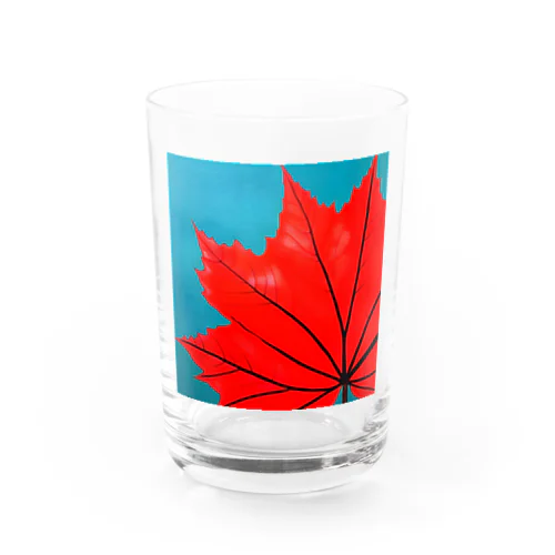秋を告げるもみじ Water Glass