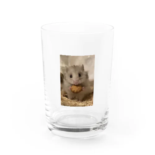 ロングヘアーハムスターのたけし Water Glass