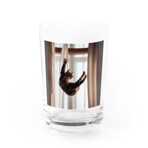 カーテンにつかまっているネコ Water Glass