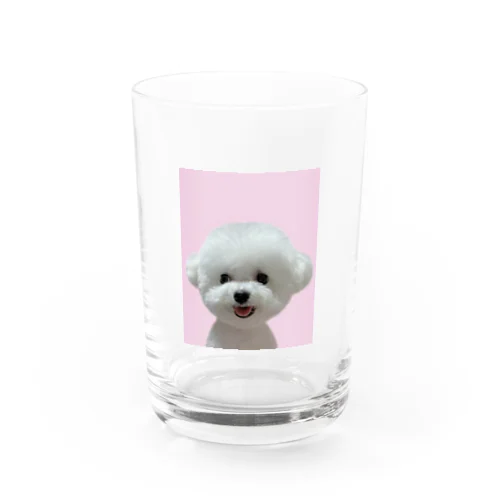 証明写真風こまち Water Glass