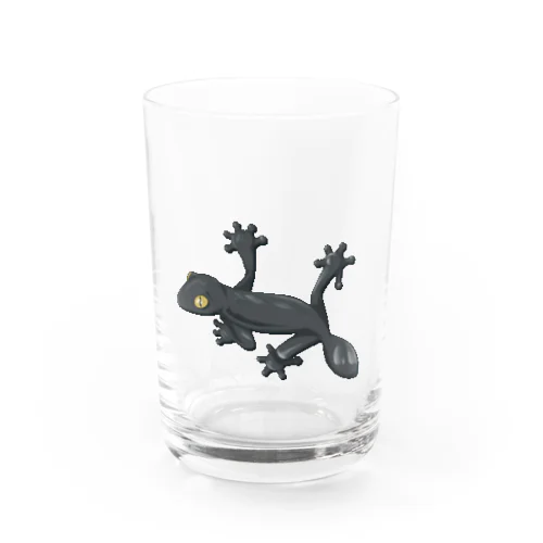 フリンジヘラオヤモリ飼ってます Water Glass