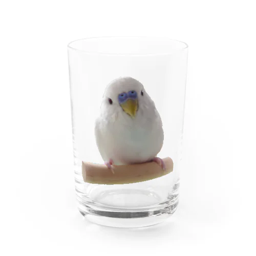 ゆるフワぺんちゃん Water Glass