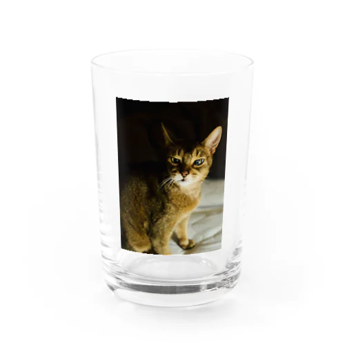 ゆるやかな、ねこ(まよなか) Water Glass
