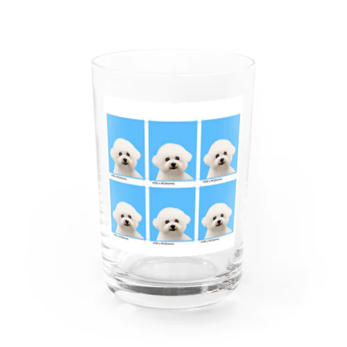 つくねちゃん証明写真 Water Glass
